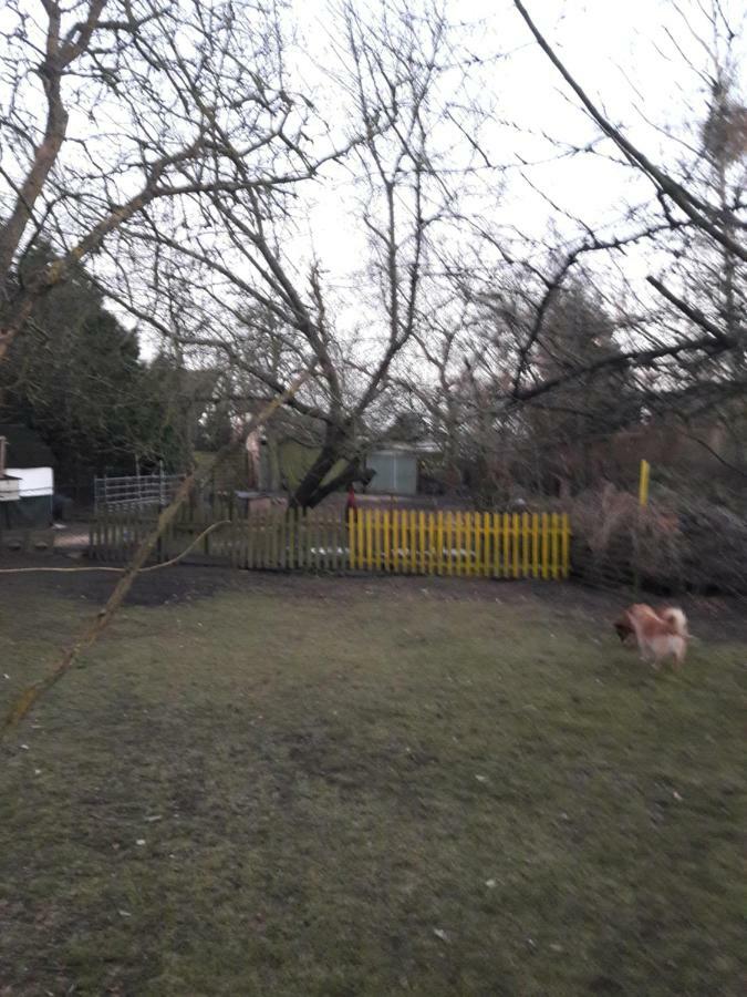 Hundefreundliches Zimmer Wustermark Buitenkant foto