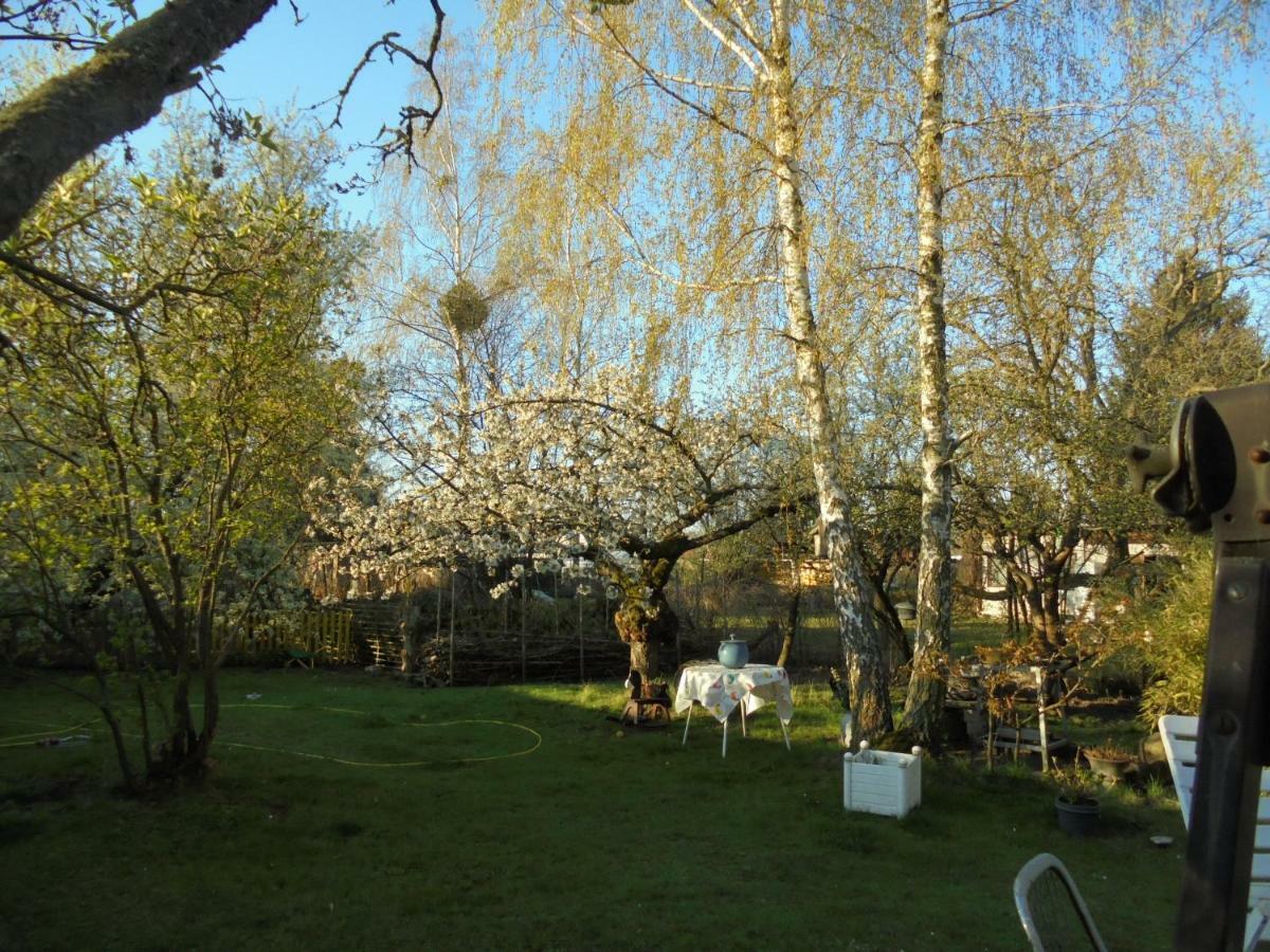 Hundefreundliches Zimmer Wustermark Buitenkant foto